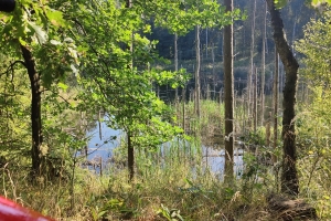IMG20230911160931