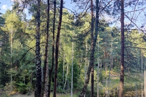 IMG20230911161833