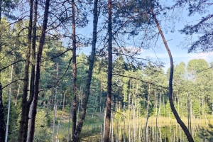 IMG20230911161841