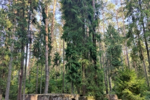 IMG20230911162206