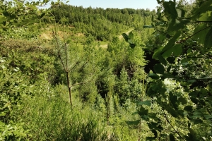 IMG20230608104128