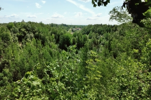 IMG20230608104621