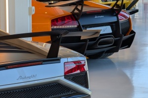 PXL_20251024_081640361