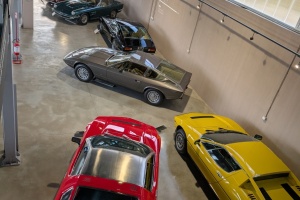 PXL_20251025_081107084