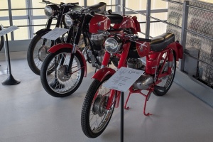 PXL_20251025_081139656