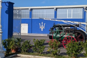 PXL_20251025_084802919