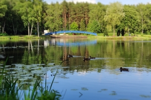 IMG20230627170240