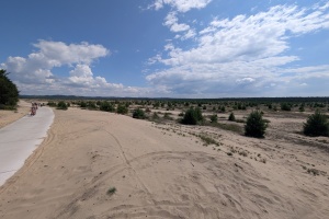 PXL_20250720_113635942