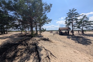 PXL_20250720_114424660