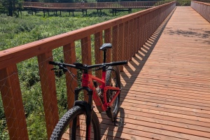 PXL_20250720_115313085