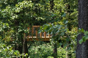 PXL_20250720_115442363