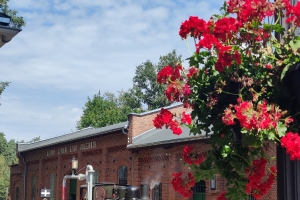 IMG20240811122436