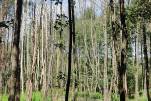 IMG20240811124044