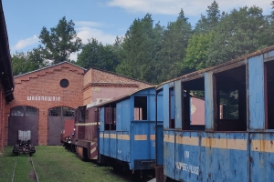 IMG20240811155523