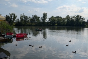 PXL_20250618_150443722