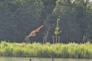 PXL_20250618_151243710